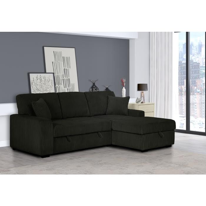Pull Out Sofa Sectional w/Storage