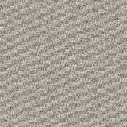 Próxima generación - Seccional